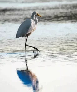 Great Egret Reflection In The Water Diamond Painting