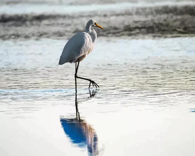 Great Egret reflection in the water Diamond Paintings Great Egret Reflection In The Water Diamond Painting