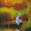 Great Egret Resting Diamond Painting