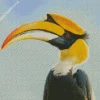 Great Hornbill Diamond Painting
