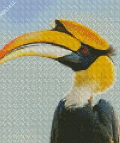 Great Hornbill Diamond Painting