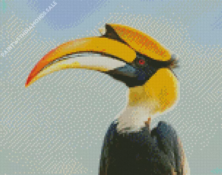 Great hornbill Diamond Dotz Great Hornbill Diamond Painting