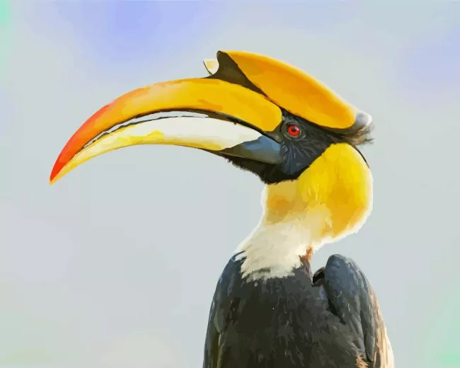 Great hornbill Diamond With Numbers Great Hornbill Diamond Painting