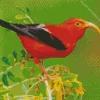 Hawaiian Honeycreeper Diamond Painting