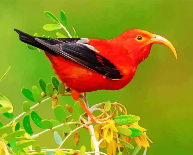 Hawaiian honeycreeper Diamond With Numbers Hawaiian Honeycreeper Diamond Painting