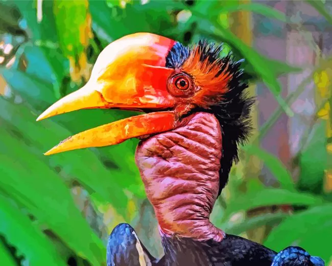 Helmeted hornbill Diamond With Numbers Helmeted Hornbill Diamond Painting