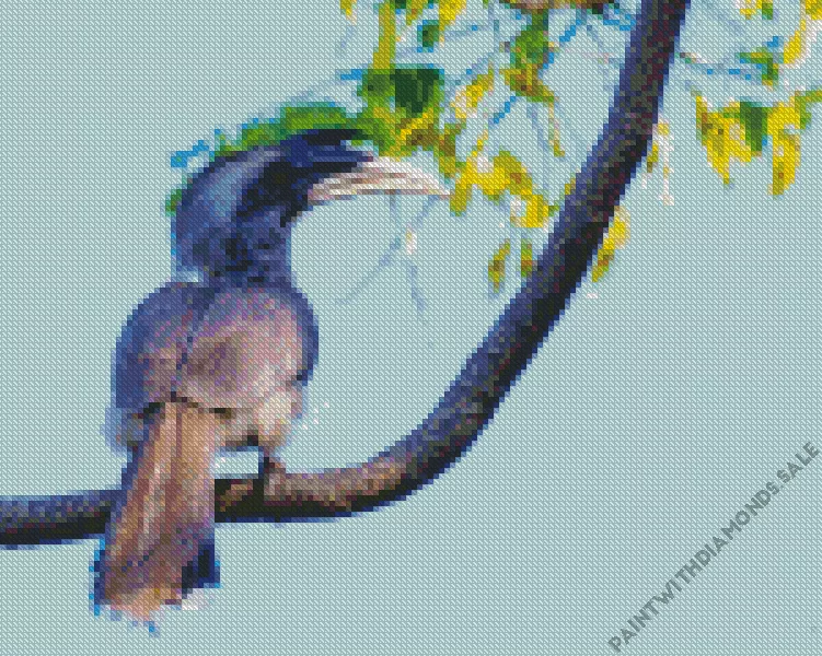 Indian grey hornbill Diamond Dotz Indian Grey Hornbill Diamond Painting