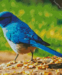 Indigo Bunting Diamond Painting