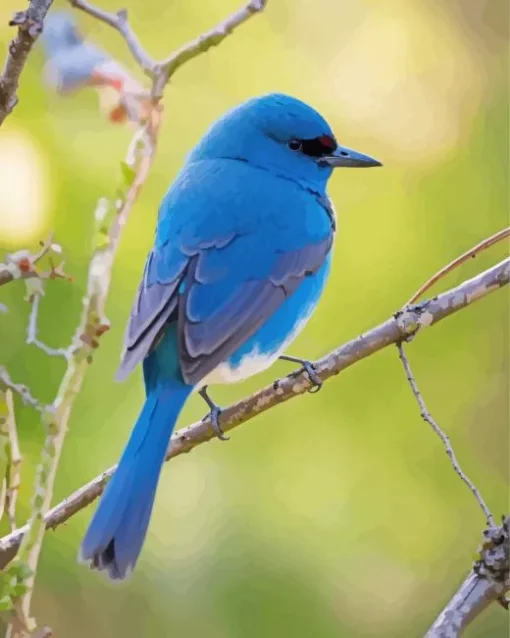 Indigo Bunting Bird Diamond Painting