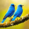 Indigo Bunting Birds Diamond Painting