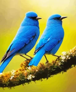 Indigo Bunting Birds Diamond Painting