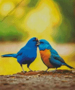 Indigo Bunting Birds Couple Diamond Painting