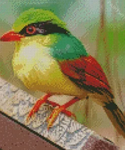 Indochinese Green Magpie Bird Diamond Painting