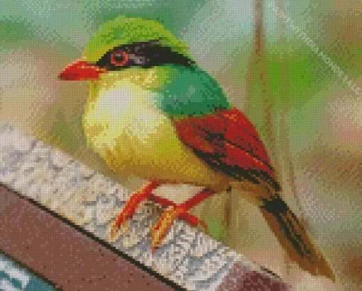 Indochinese Green Magpie Bird Diamond Painting