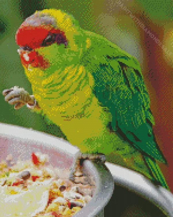 Iris lorikeet Diamond Dotz Iris Lorikeet Diamond Painting