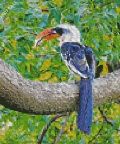 Jacksons Hornbill Diamond Painting