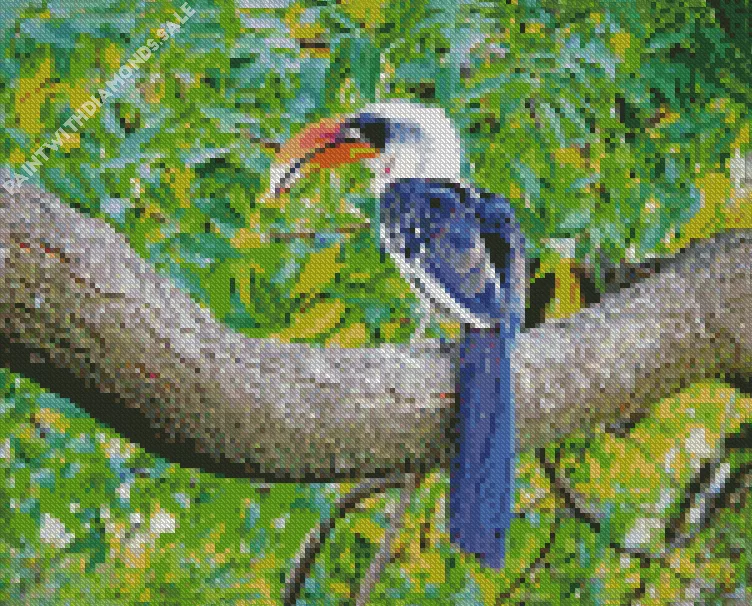 Jacksons hornbill Diamond Dotz Jacksons Hornbill Diamond Painting
