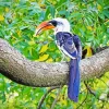 Jacksons Hornbill Diamond Painting
