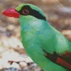 Javan Green Magpie Bird Diamond Painting