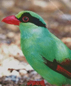 Javan Green Magpie Bird Diamond Painting