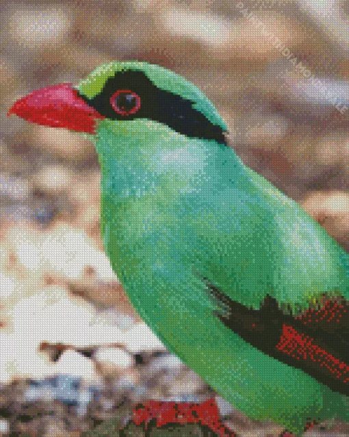 Javan Green Magpie Bird Diamond Painting