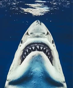 Jaws Shark Diamond Painting