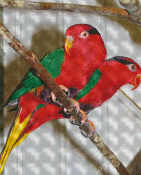 Josephines lorikeet birds Diamond Dotz Josephines Lorikeet Birds Diamond Painting
