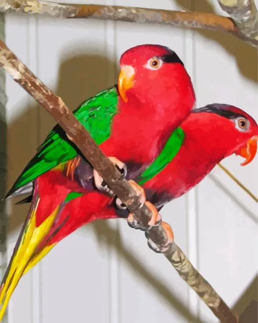 Josephines lorikeet birds Diamond With Numbers Josephines Lorikeet Birds Diamond Painting