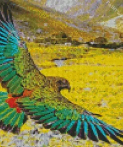 Kea Bird Flying Art Diamond Painting