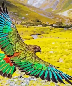 Kea Bird Flying Art Diamond Painting