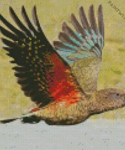 Kea Diamond Painting