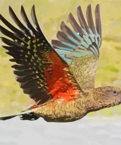 Kea Diamond Painting