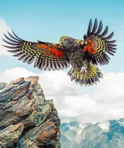 Kea Bird Flying Diamond Painting