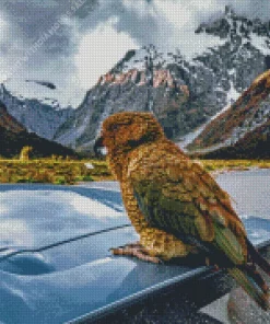 Kea Bird On A Car Diamond Painting