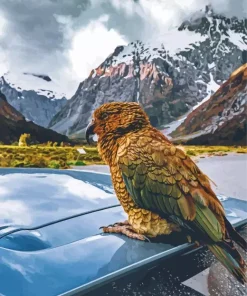 Kea Bird On A Car Diamond Painting