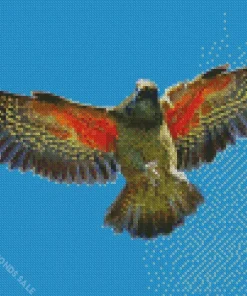 Kea Flying In The Sky Diamond Painting