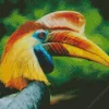 Knobbed Hornbill Diamond Painting