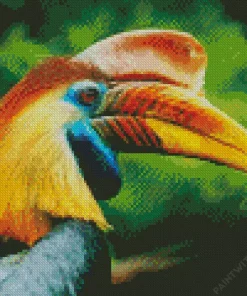 Knobbed Hornbill Diamond Painting