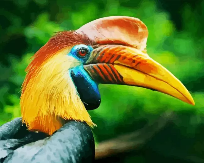 Knobbed hornbill Diamond With Numbers Knobbed Hornbill Diamond Painting