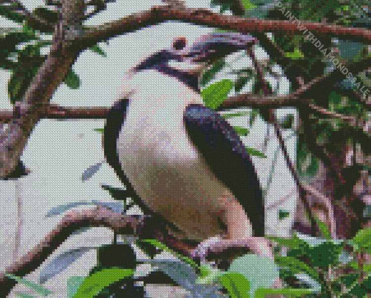 Luzon hornbill Diamond Dotz Luzon Hornbill Diamond Painting