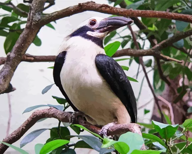 Luzon hornbill Diamond With Numbers Luzon Hornbill Diamond Painting