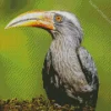 Malabar Grey Hornbill Diamond Painting