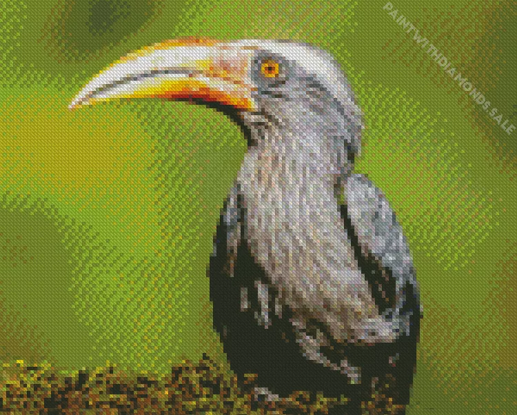 Malabar grey hornbill Diamond Dotz Malabar Grey Hornbill Diamond Painting