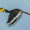 Malabar Pied Hornbill Diamond Painting