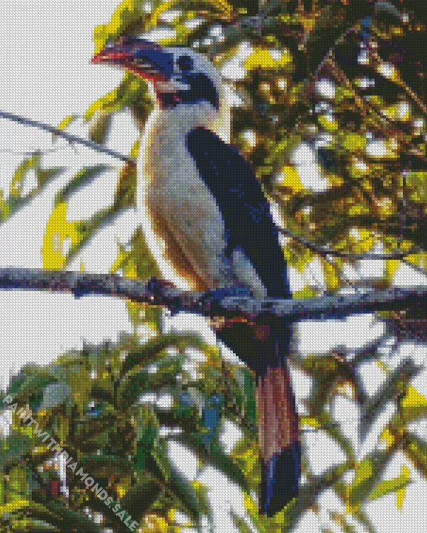 Mindanao hornbill Diamond Dotz Mindanao Hornbill Diamond Painting