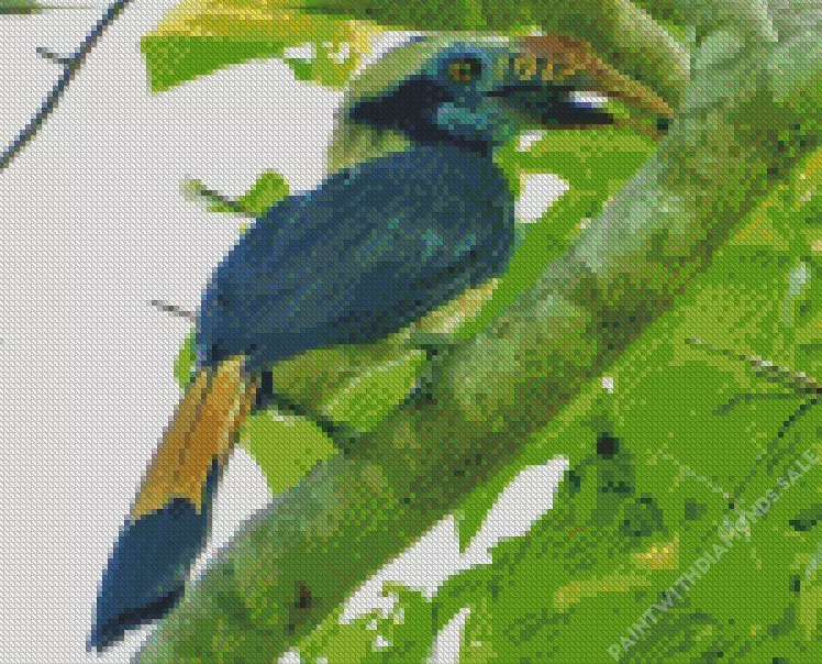 Mindoro hornbill Diamond Dotz Mindoro Hornbill Diamond Painting