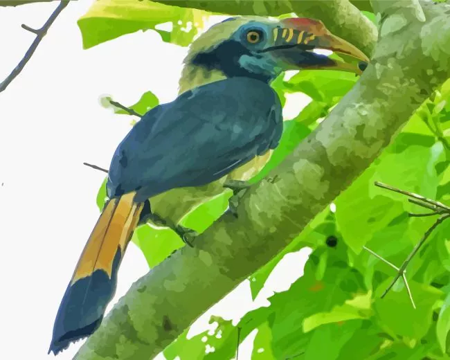 Mindoro hornbill Diamond With Numbers Mindoro Hornbill Diamond Painting