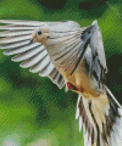 Mourning Dove Flying Diamond Painting