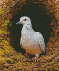 Mourning Dove In Snakes Hole Diamond Painting