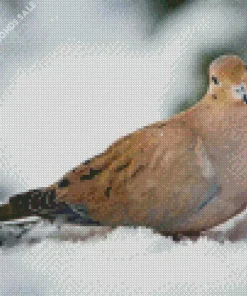 Mourning Dove In Snow Diamond Painting